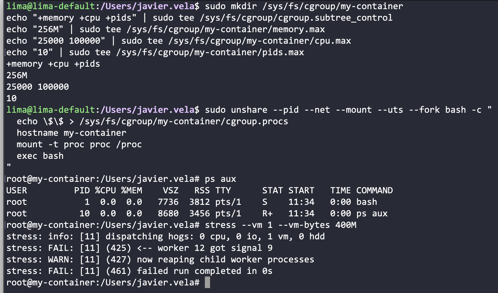 Resultado ejecución cgroup y namespace